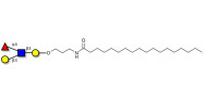 Lewis a (Lea) tetraose with stearic chain (Linker-STEA A)