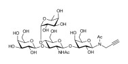 Lewis a (Lea) tetraose with terminal alkyne (Linker-CΞCH A)
