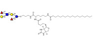 Lewis a (Lea) hexaose / Lacto-N-difucohexaose II (LNDFH II) linked to biotin and stearic chain (Linker-BT-STEA A)