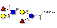 Lewis a (Lea) hexaose / Lacto-N-difucohexaose II (LNDFH II) grafted on CRM197