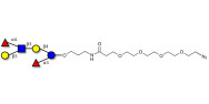 Lewis a (Lea) hexaose / Lacto-N-difucohexaose II (LNDFH II) with terminal azide (Linker-N3 A)