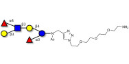 Lewis a (Lea) hexaose / Lacto-N-difucohexaose II (LNDFH II) with free terminal amine (Linker-NH2 B)