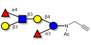 Lewis a (Lea) hexaose / Lacto-N-difucohexaose II (LNDFH II) with terminal alkyne (Linker-CΞCH A)