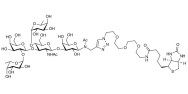 Lewis b (Leb) pentaose linked to biotin (Linker-BT A)