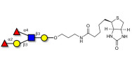 Lewis b (Leb) pentaose linked to biotin (Linker-BT B)