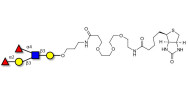 Lewis b (Leb) pentaose linked to biotin (Linker-BT C)