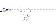 Lewis b (Leb) pentaose linked to biotin and stearic chain (Linker-BT-STEA A)