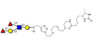 Lewis b (Leb) pentaose linked to desthiobiotin (Linker-DBT-A)