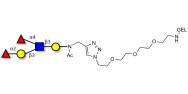 Lewis b (Leb) pentaose grafted on gel for affinity chromatography (Linker-GEL A)