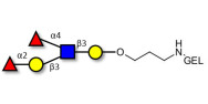 Lewis b (Leb) pentaose grafted on gel for affinity chromatography (Linker-GEL B)