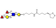Lewis b (Leb) pentaose with cyclic di-thiol (Linker-LIPO A)
