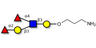 Lewis b (Leb) pentaose with free terminal amine (Linker-NH2 A)