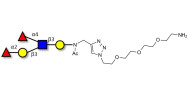 Lewis b (Leb) pentaose with free terminal amine (Linker-NH2 B)