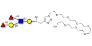 Lewis b (Leb) pentaose with free terminal amine (Linker-NH2 C)