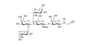 Lewis b (Leb) pentaose with terminal alkyne (Linker-CΞCH A)