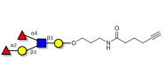 Lewis b (Leb) pentaose with terminal alkyne (Linker-CΞCH C)