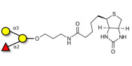 Blood group B antigen triose linked to biotin (Linker-BT B)