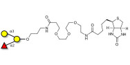 Blood group B antigen triose linked to biotin (Linker-BT C)