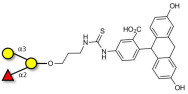 Blood group B antigen triose linked to fluorescein (Linker-FLUO A)
