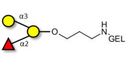 Blood group B antigen triose grafted on gel for affinity chromatography (Linker-GEL B)