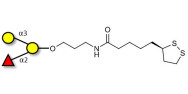 Blood group B antigen triose with cyclic di-thiol (Linker-LIPO A)