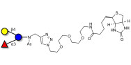 3-Fucosyllactose (3-FL) linked to biotin (Linker-BT A)