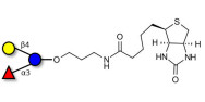 3-Fucosyllactose (3-FL) linked to biotin (Linker-BT B)