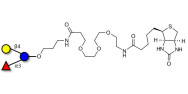 3-Fucosyllactose (3-FL) linked to biotin (Linker-BT C)