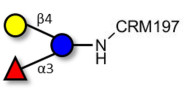 3-Fucosyllactose (3-FL) grafted on CRM197