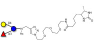 3-Fucosyllactose (3-FL) linked to desthiobiotin (Linker-DBT-A)