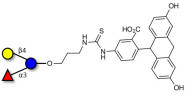 3-Fucosyllactose (3-FL) linked to fluorescein (Linker-FLUO A)