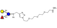3-Fucosyllactose (3-FL) grafted on gel for affinity chromatography (Linker-GEL A)