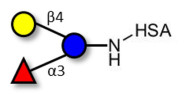 3-Fucosyllactose (3-FL) grafted on HSA