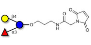 3-Fucosyllactose (3-FL) linked to maleimide (Linker-MAL A)