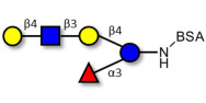 Lacto-N-neofucopentaose V (LNnFP-V) grafted on BSA