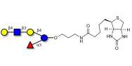 Lacto-N-neofucopentaose V (LNnFP-V) linked to biotin (Linker-BT B)