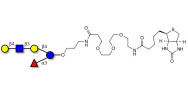 Lacto-N-neofucopentaose V (LNnFP-V) linked to biotin (Linker-BT C)