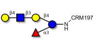 Lacto-N-neofucopentaose V (LNnFP-V) grafted on CRM197