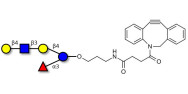 Lacto-N-neofucopentaose V (LNnFP-V) with DBCO (Linker-DBCO A)