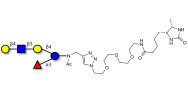 Lacto-N-neofucopentaose V (LNnFP-V) linked to desthiobiotin (Linker-DBT-A)