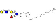 Lacto-N-neofucopentaose V (LNnFP-V) grafted on gel for affinity chromatography (Linker-GEL A)