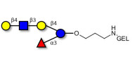 Lacto-N-neofucopentaose V (LNnFP-V) grafted on gel for affinity chromatography (Linker-GEL B)