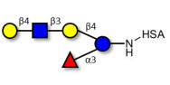 Lacto-N-neofucopentaose V (LNnFP-V) grafted on HSA