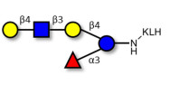 Lacto-N-neofucopentaose V (LNnFP-V) grafted on KLH
