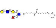 Lacto-N-neofucopentaose V (LNnFP-V) with cyclic di-thiol (Linker-LIPO A)