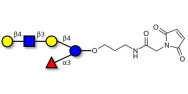 Lacto-N-neofucopentaose V (LNnFP-V) linked to maleimide (Linker-MAL A)