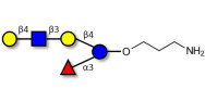 Lacto-N-neofucopentaose V (LNnFP-V) with free terminal amine (Linker-NH2 A)