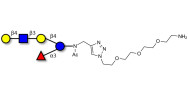 Lacto-N-neofucopentaose V (LNnFP-V) with free terminal amine (Linker-NH2 B)