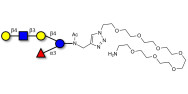 Lacto-N-neofucopentaose V (LNnFP-V) with free terminal amine (Linker-NH2 C)