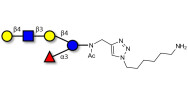Lacto-N-neofucopentaose V (LNnFP-V) with free terminal amine (Linker-NH2 D)